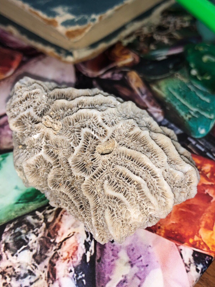 Посещение минералогического музея группой 18ФХ1